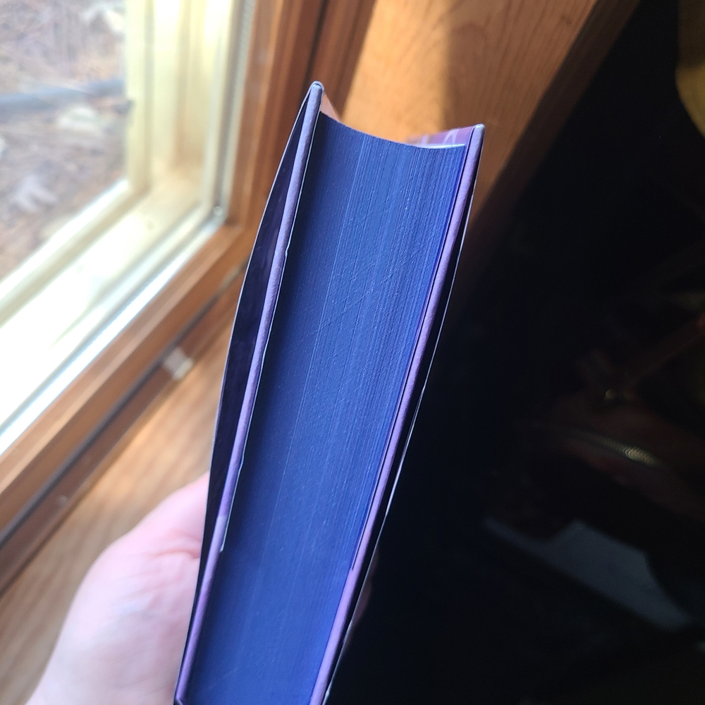 The Last Starborn Seer Hardcover - Purple Cover - Picture 5 of 6